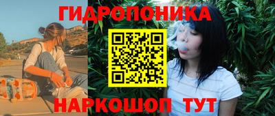 гидра Тверь