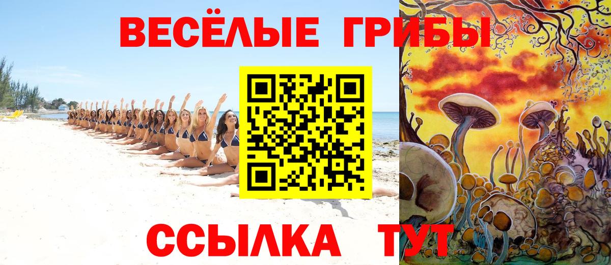 Кунгур  Галлюциногенные грибы ЛСД  Вход с VPN 